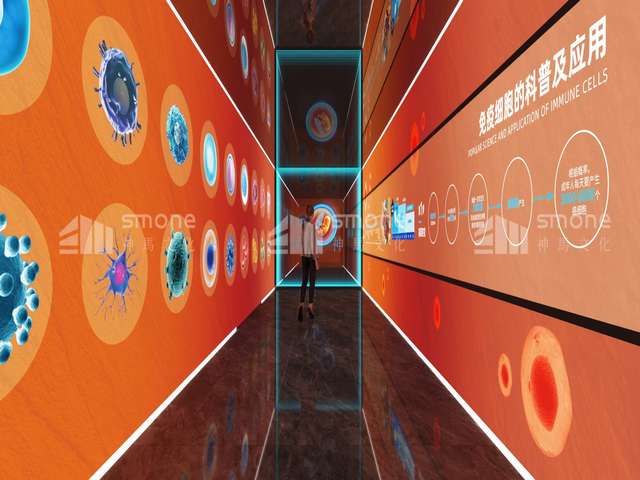 富源二代白魔芋种子价钱